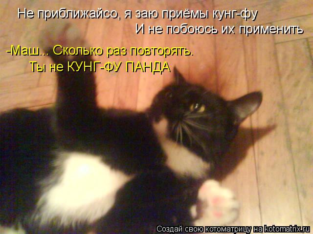 Не приближайсо, я заю приёмы кунг-фу И не побоюсь их применить -Маш... Сколько раз повторять. Ты не ... Котоматрица: Не приближайсо, я заю приёмы кунг-фу И не побоюсь их применить -Маш... Сколько раз повторять. Ты не КУНГ-ФУ ПАНДА
