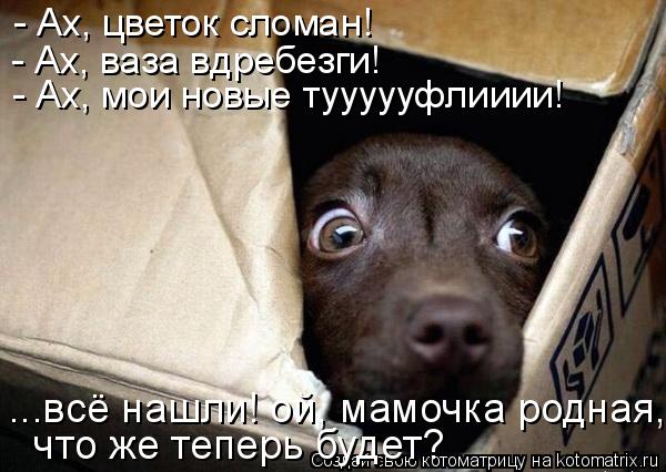 - Ах, цветок сломан! - Ах, ваза вдребезги! - Ах, мои новые туууууфлииии! ...всё нашли! ой, мамочк... Котоматрица: - Ах, цветок сломан! - Ах, ваза вдребезги! - Ах, мои новые туууууфлииии! ...всё нашли! ой, мамочка родная, что же теперь будет? что же теперь бу