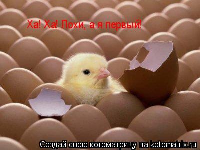 Котоматрица: Ха! Ха! Лохи, а я первый!
