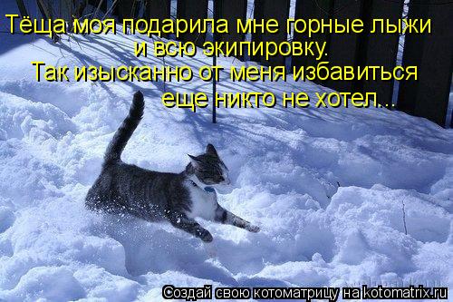 Тёща моя подарила мне горные лыжи и всю экипировку. Так изысканно от меня избавиться еще никто не... Котоматрица: Тёща моя подарила мне горные лыжи и всю экипировку. Так изысканно от меня избавиться еще никто не хотел...
