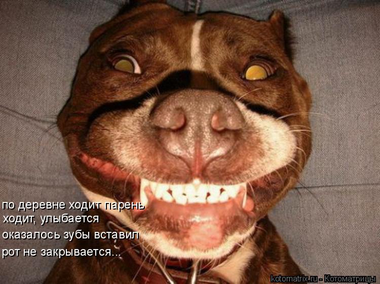 Котоматрица: по деревне ходит парень ходит, улыбается оказалось зубы вставил рот не закрывается...
