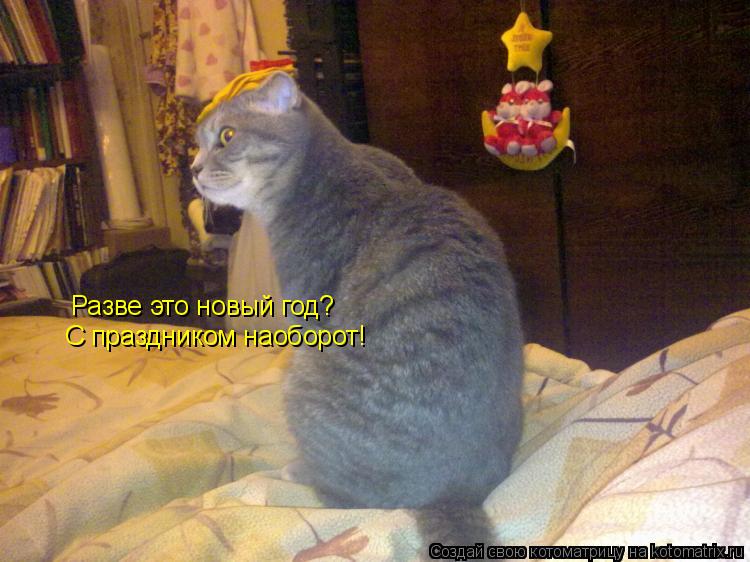 Котоматрица: Разве это новый год? С праздником наоборот!