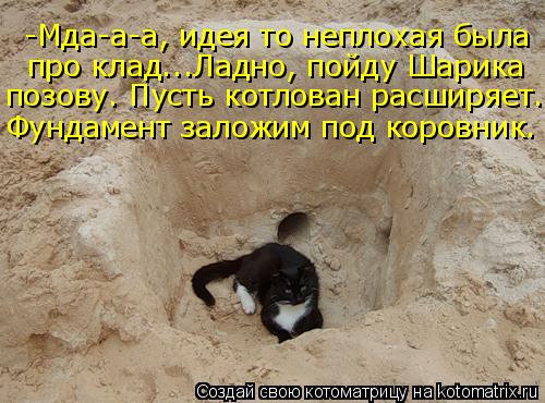 -Мда-а-а, идея то неплохая была про клад...Ладно, пойду Шарика позову. Пусть котлован расширяет. Фун... Котоматрица: -Мда-а-а, идея то неплохая была про клад...Ладно, пойду Шарика позову. Пусть котлован расширяет. Фундамент заложим под коровник.