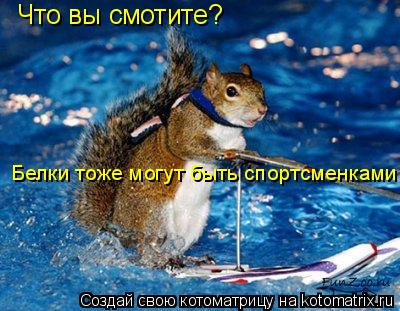 Что вы смотите? Белки тоже могут быть спортсменками... Котоматрица: Что вы смотите? Белки тоже могут быть спортсменками