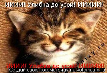 Котоматрица: ИИИИ! Улибка до усэй! ИИИИИ! ИИИИ! Улибка до усэй! ИИИИИ!