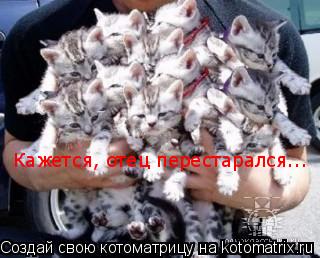 Котоматрица: Кажется, отец перестарался...