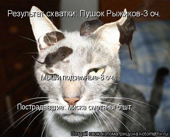 Котоматрица: Результат схватки: Пушок Рыжиков-3 оч. Результат схватки: Пушок Рыжиков-3 оч. Мыши подземные-8 оч.. Пострадавшие: миска сметаны 5 шт.