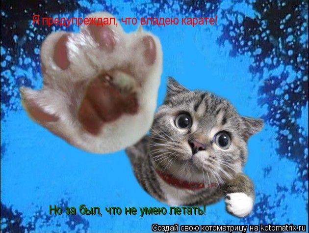 Котоматрица: Я предупреждал, что владею карате! Но за был, что не умею летать!