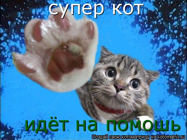 Котоматрица: супер кот идёт на помошь