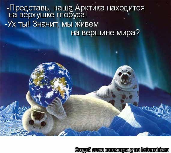 Котоматрица: -Представь, наша Арктика находится  на верхушке глобуса!  -Ух ты! Значит, мы живем  на вершине мира?