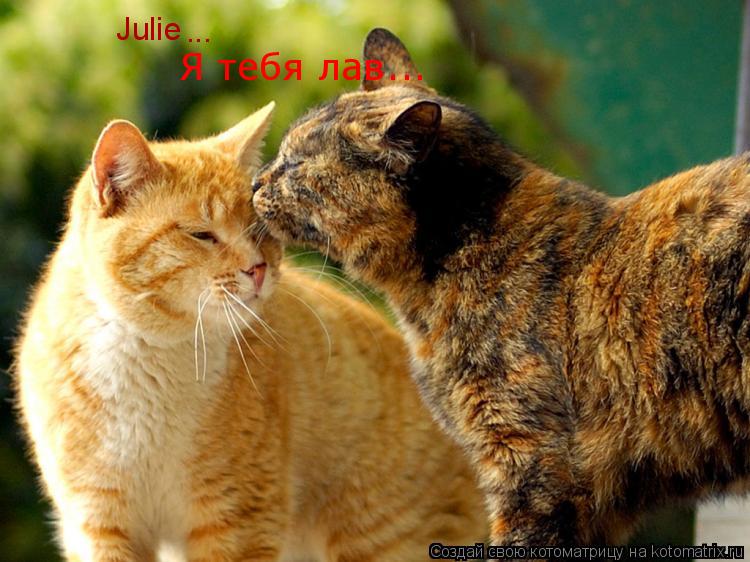 Julie Я тебя лав... ...... Котоматрица: Julie Я тебя лав... ...
