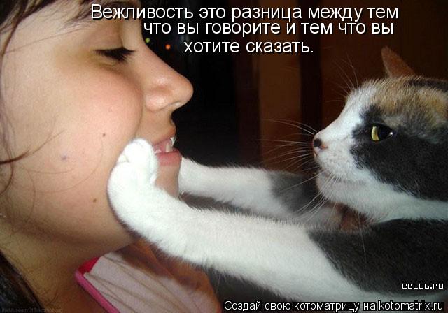 Вежливость это разница между тем что вы говорите и тем что вы хотите сказать.... Котоматрица: Вежливость это разница между тем что вы говорите и тем что вы хотите сказать.