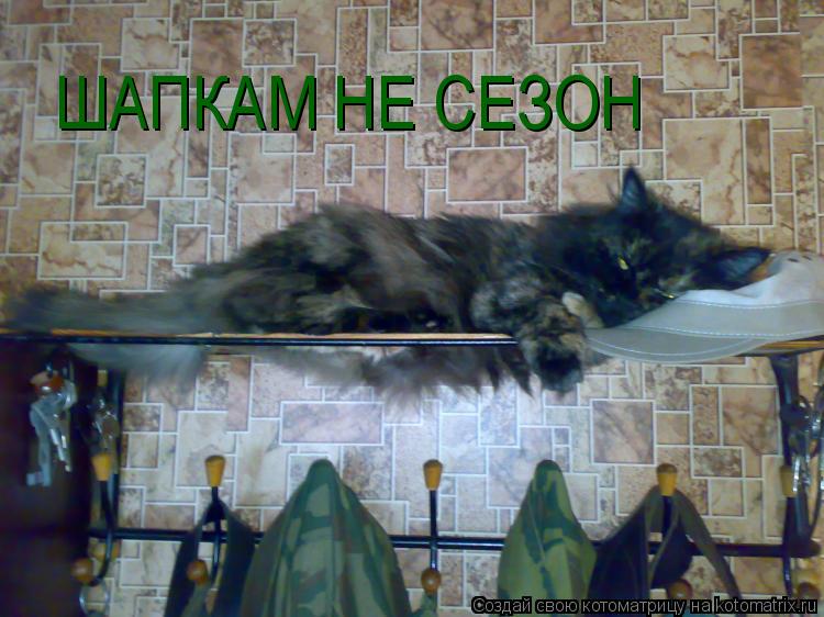 Котоматрица: ШАПКАМ НЕ СЕЗОН