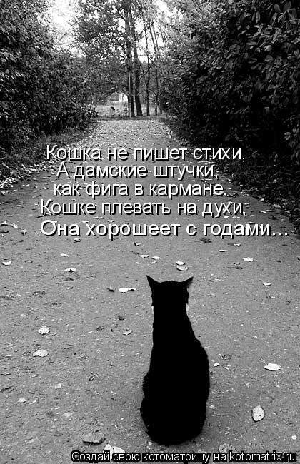 Кошка не пишет стихи, А дамские штучки, как фига в кармане. Кошке плевать на духи, Она хорошеет с ... Котоматрица: Кошка не пишет стихи, А дамские штучки, как фига в кармане. Кошке плевать на духи, Она хорошеет с годами...