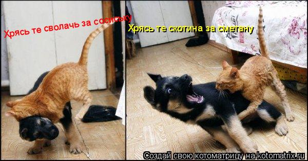 Котоматрица: Хрясь те скотина за сметану Хрясь те сволачь за сосиську