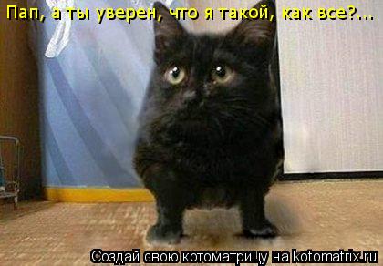 Котоматрица: Пап, а ты уверен, что я такой, как все?...