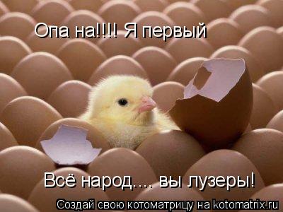 Котоматрица: Опа на!!!! Я первый Всё народ.... вы лузеры!