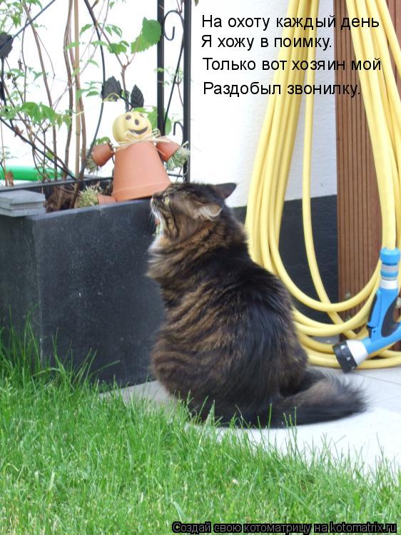 Котоматрица: Я хожу в поимку. Только вот хозяин мой Раздобыл звонилку. На охоту каждый день