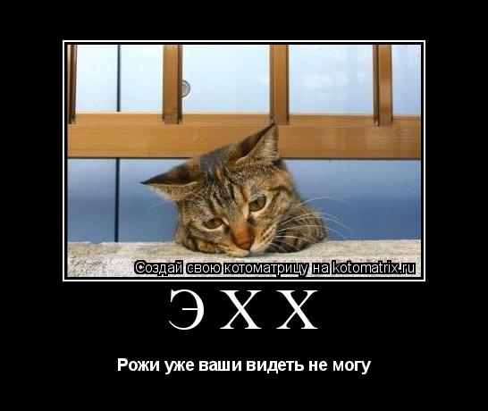 Котоматрица: Эхх Рожи уже ваши видеть не могу