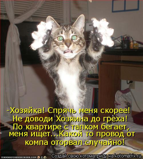 -Хозяйка! Спрячь меня скорее! Не доводи Хозяина до греха! По квартире с тапком бегает, меня ищет...К... Котоматрица: -Хозяйка! Спрячь меня скорее! Не доводи Хозяина до греха! По квартире с тапком бегает, меня ищет...Какой то провод от компа оторвал случайно!