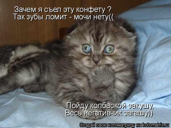 Зачем я съел эту конфету ? Так зубы ломит - мочи нету(( Пойду колбаской закушу, Весь негативчик загаш... Котоматрица: Зачем я съел эту конфету ? Так зубы ломит - мочи нету(( Пойду колбаской закушу, Весь негативчик загашу))