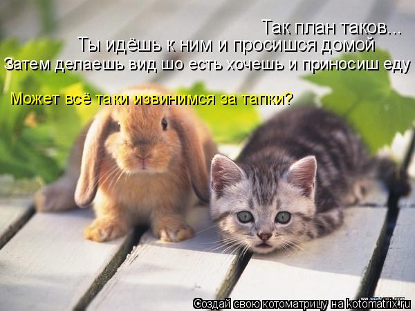 Так план таков... Ты идёшь к ним и просишся домой Затем делаешь вид шо есть хочешь и приносиш еду суд... Котоматрица: Так план таков... Ты идёшь к ним и просишся домой Затем делаешь вид шо есть хочешь и приносиш еду суда Может всё таки извинимся за тапки?
