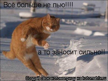 Котоматрица: Всё больше не пью!!!! а то заносит сильно!!