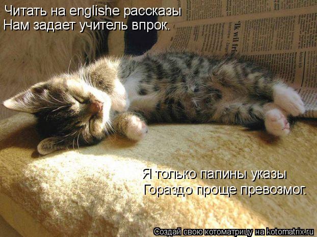 Котоматрица: Читать на englishe рассказы Гораздо проще превозмог. Нам задает учитель впрок. Я только папины указы