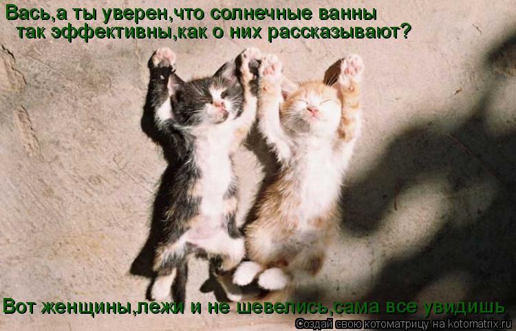 Котоматрица: Вась,а ты уверен,что солнечные ванны так  Вась,а ты уверен,что солнечные ванны  так эффективны,как о них рассказывают? так эффективны,как о н