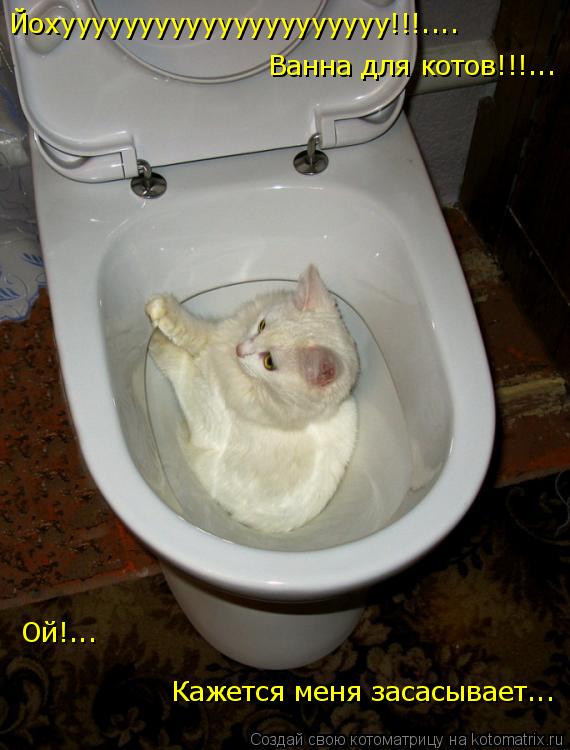 Котоматрица: Йохууууууууууууууууууууу!!!.... Ванна для котов!!!... Ой!... Кажется меня засасывает...