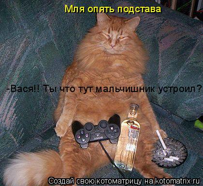 Котоматрица: -Вася!! Ты что тут мальчишник устроил?! Мля опять подстава
