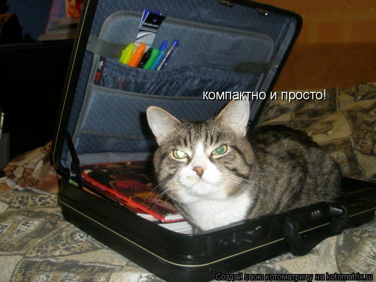 компактно и просто!... Котоматрица: компактно и просто!