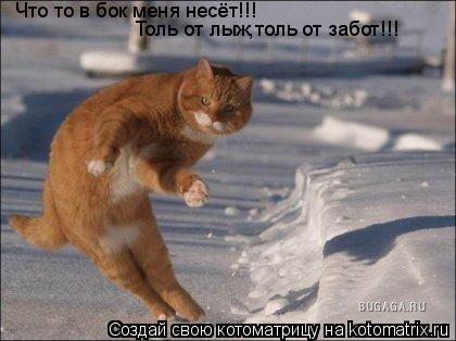 Что то в бок меня несёт!!! Толь от лыж,толь от забот!!!... Котоматрица: Что то в бок меня несёт!!! Толь от лыж,толь от забот!!!
