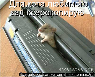 Котоматрица: Для кота любимого  зад ксерокопирую