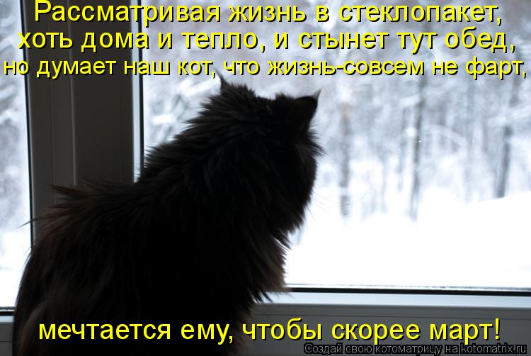Рассматривая жизнь в стеклопакет, хоть дома и тепло, и стынет тут обед, но думает наш кот, что жизнь-... Котоматрица: Рассматривая жизнь в стеклопакет, хоть дома и тепло, и стынет тут обед, но думает наш кот, что жизнь-совсем не фарт, мечтается ему, чтобы скор