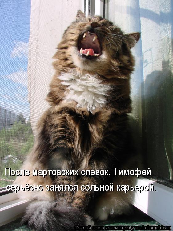 серьёзно занялся сольной карьерой. После мартовских спевок, Тимофей... Котоматрица: серьёзно занялся сольной карьерой. После мартовских спевок, Тимофей