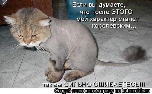Если вы думаете, что после ЭТОГО мой характер станет королевским... так вы СИЛЬНО ОШИБАЕТЕСЬ!!!... Котоматрица: Если вы думаете, что после ЭТОГО мой характер станет королевским... так вы СИЛЬНО ОШИБАЕТЕСЬ!!!