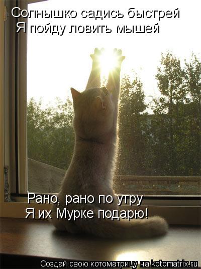 Солнышко садись быстрей Я пойду ловить мышей Рано, рано по утру Я их Мурке подарю!... Котоматрица: Солнышко садись быстрей Я пойду ловить мышей Рано, рано по утру Я их Мурке подарю!