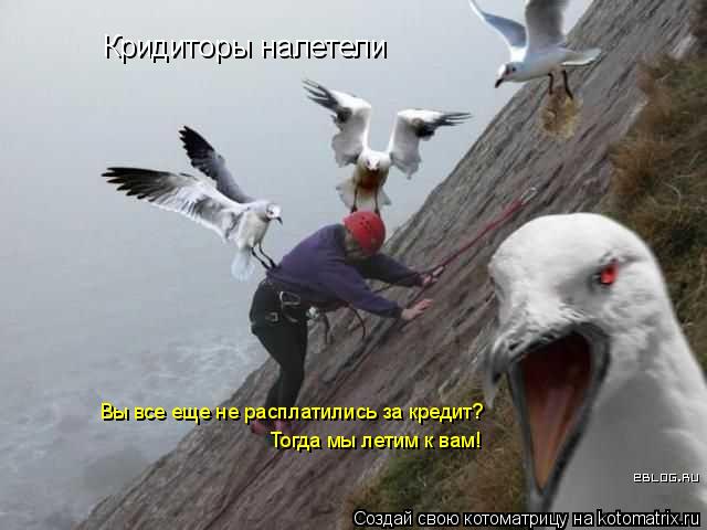 Кридиторы налетели Тогда мы летим к вам! Вы все еще не расплатились за кредит?... Котоматрица: Кридиторы налетели Тогда мы летим к вам! Вы все еще не расплатились за кредит?