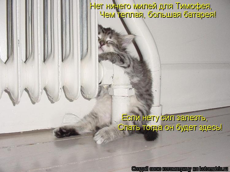 Нет ничего милей для Тимофея, Чем теплая, большая батарея! Если нету сил залезть, Спать тогда он буде... Котоматрица: Нет ничего милей для Тимофея, Чем теплая, большая батарея! Если нету сил залезть, Спать тогда он будет здесь!