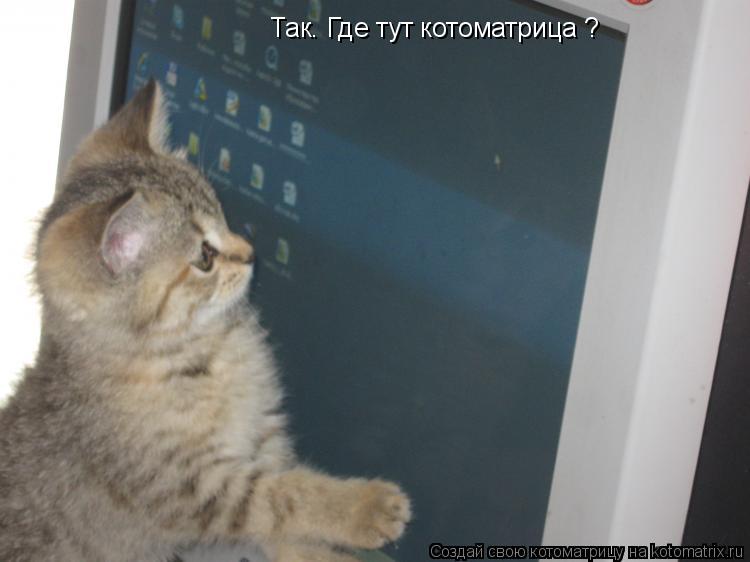 Котоматрица: Так. Где тут котоматрица ?