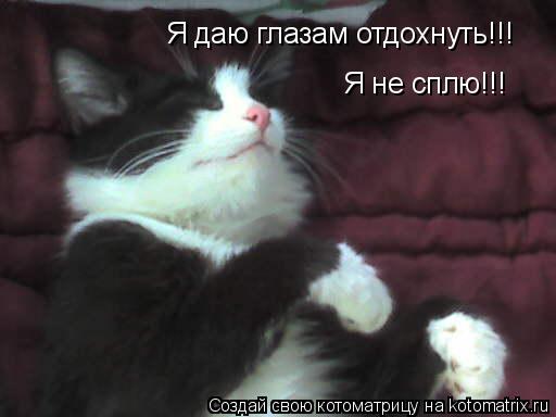Я не сплю!!! Я даю глазам отдохнуть!!!... Котоматрица: Я не сплю!!! Я даю глазам отдохнуть!!!
