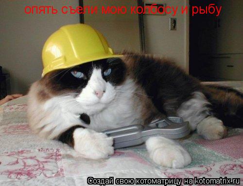 Котоматрица: опять съели мою колбосу и рыбу