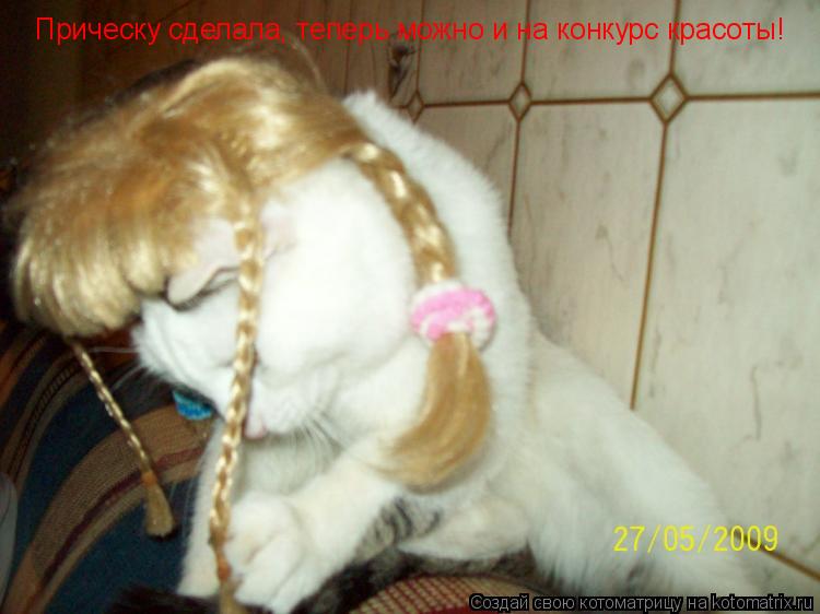 Прическу сделала, теперь можно и на конкурс красоты!... Котоматрица: Прическу сделала, теперь можно и на конкурс красоты!