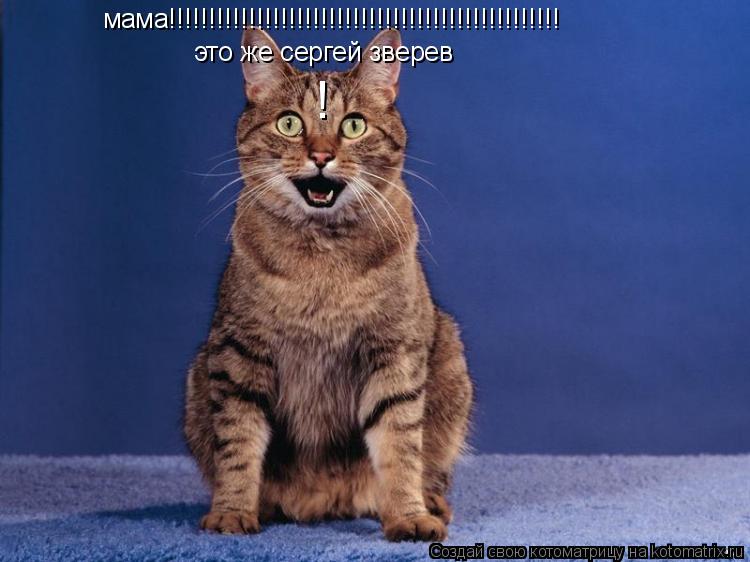 Котоматрица: мама!!!!!!!!!!!!!!!!!!!!!!!!!!!!!!!!!!!!!!!!!!!!!!!!! это же сергей зверев !
