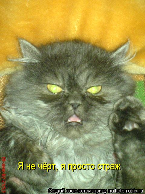 Котоматрица: Я не чёрт, я просто страж
