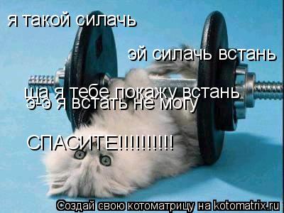 Котоматрица: я такой силачь эй силачь встань ща я тебе покажу встань э-э я встать не могу СПАСИТЕ!!!!!!!!!!