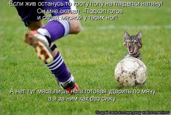 -Если жив останусь,то кроту попу на гляделки натяну! Он мне сказал: -Подкоп готов и склад мясной у т... Котоматрица: -Если жив останусь,то кроту попу на гляделки натяну! Он мне сказал: -Подкоп готов и склад мясной у твоих ног!... А нет тут мяса,лишь нога,готова