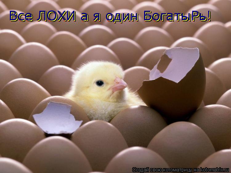 Все ЛОХИ а я один БогатыРь! Все ЛОХИ а я один БогатыРь! Все ЛОХИ а я один БогатыРь! Все ЛОХИ а я один... Котоматрица: Все ЛОХИ а я один БогатыРь! Все ЛОХИ а я один БогатыРь! Все ЛОХИ а я один БогатыРь! Все ЛОХИ а я один БогатыРь!