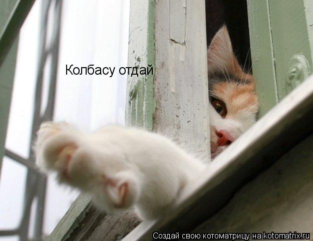 Колбасу отдай... Котоматрица: Колбасу отдай